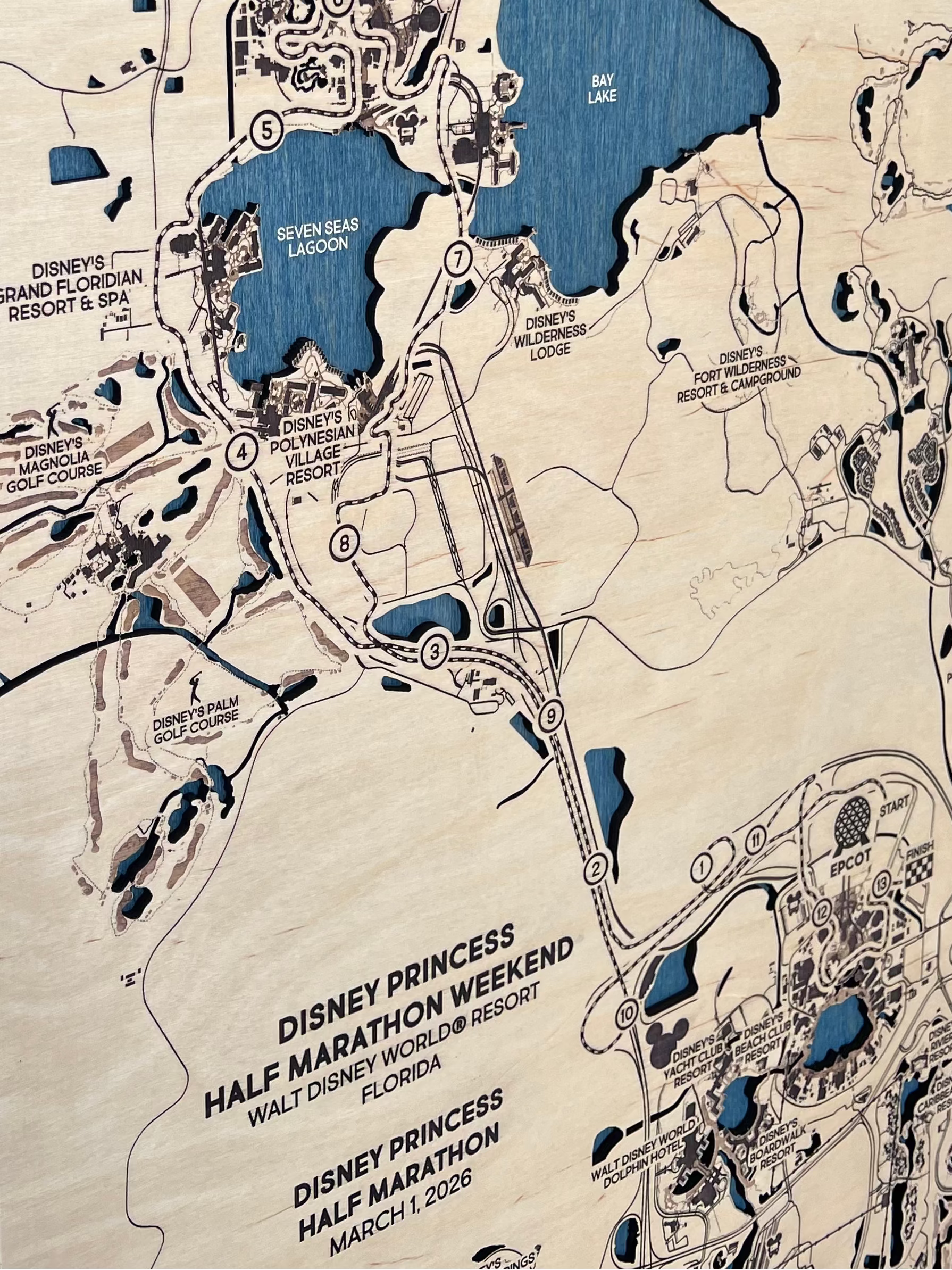 Disney Princess Half Marathon