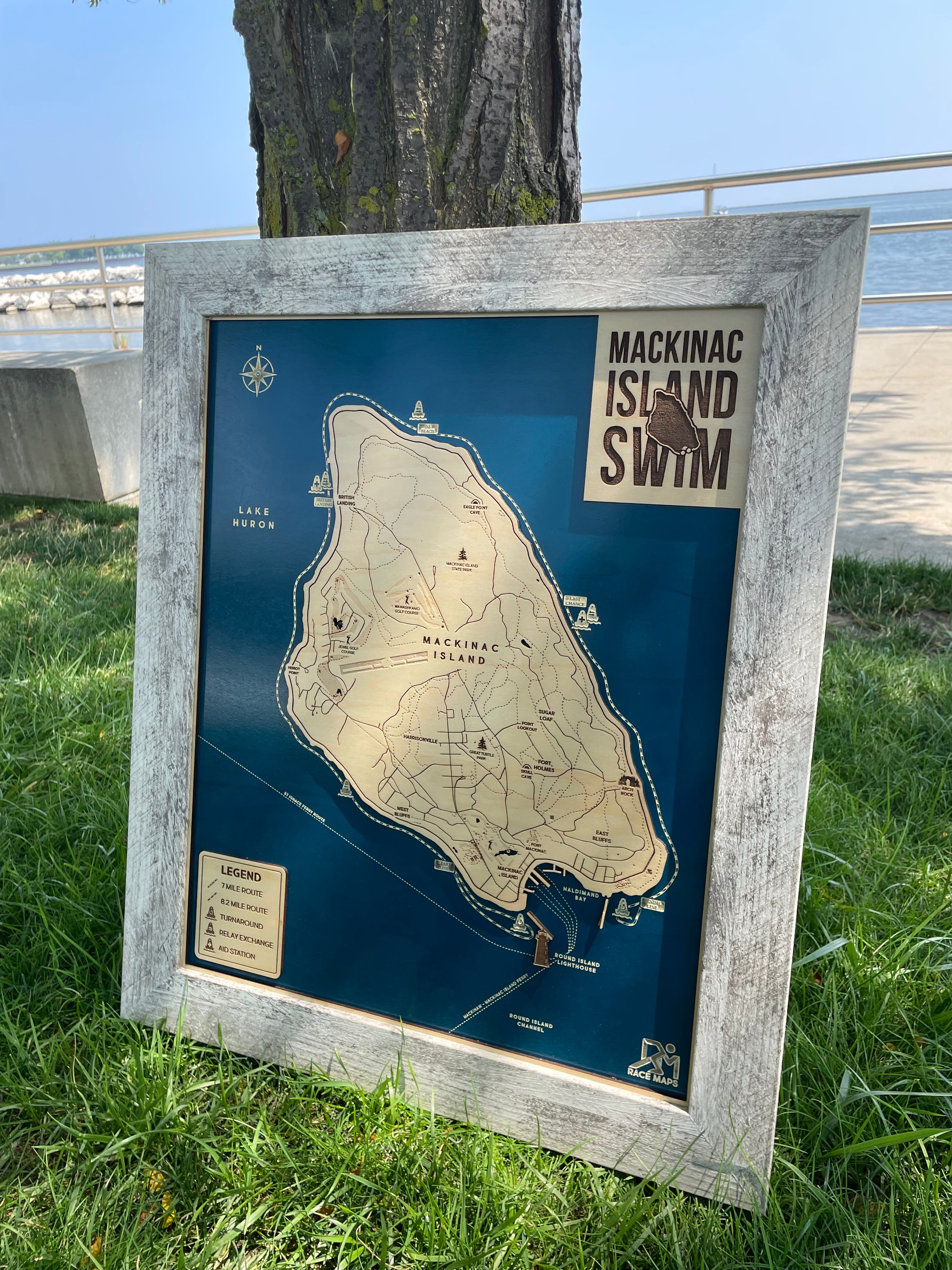 Mackinac Island Swim