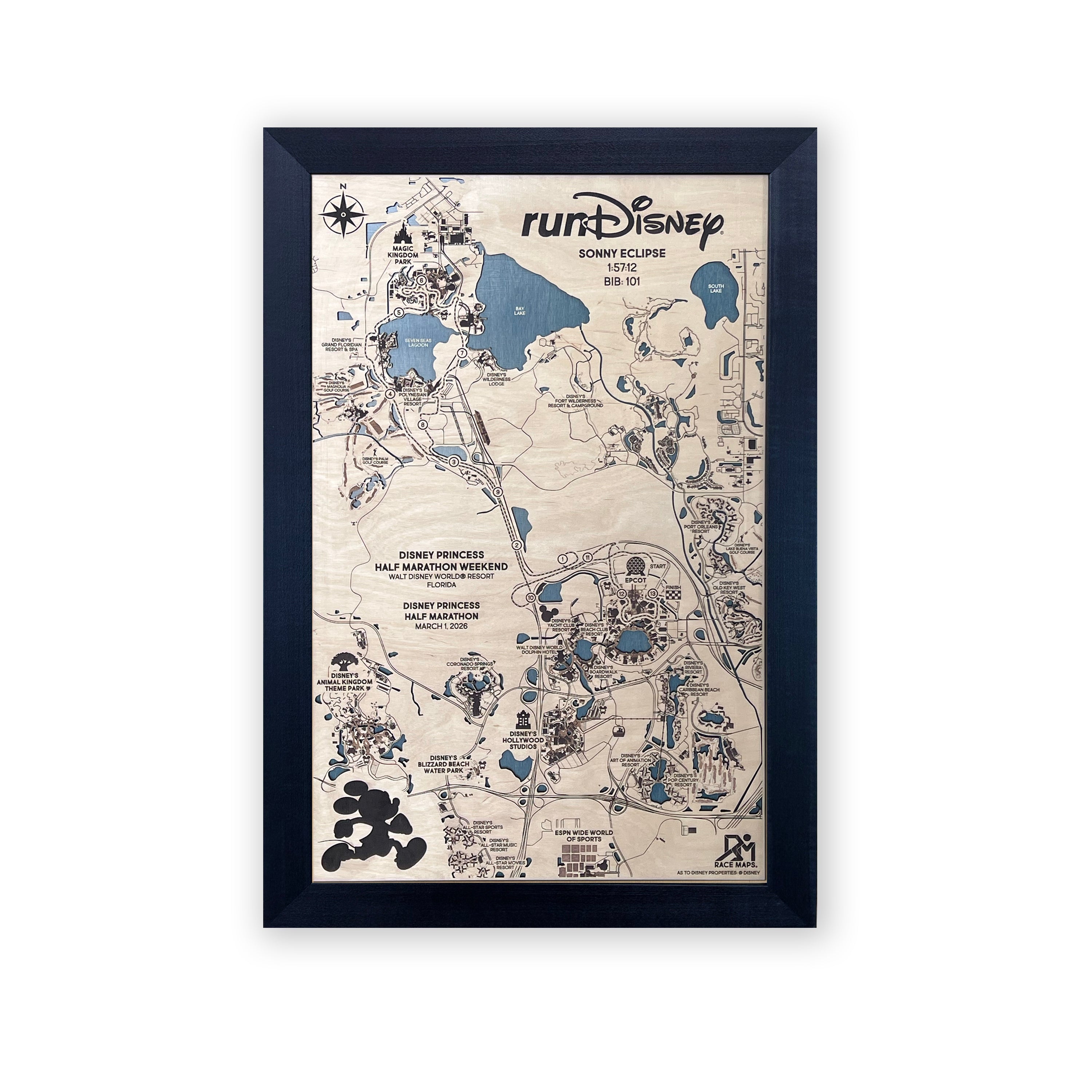 Disney Princess Half Marathon