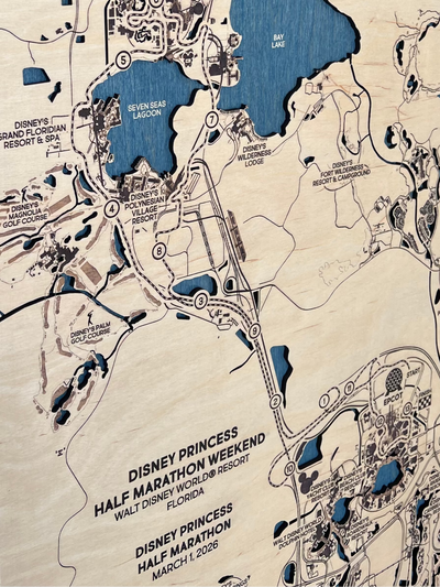 Disney Princess Half Marathon