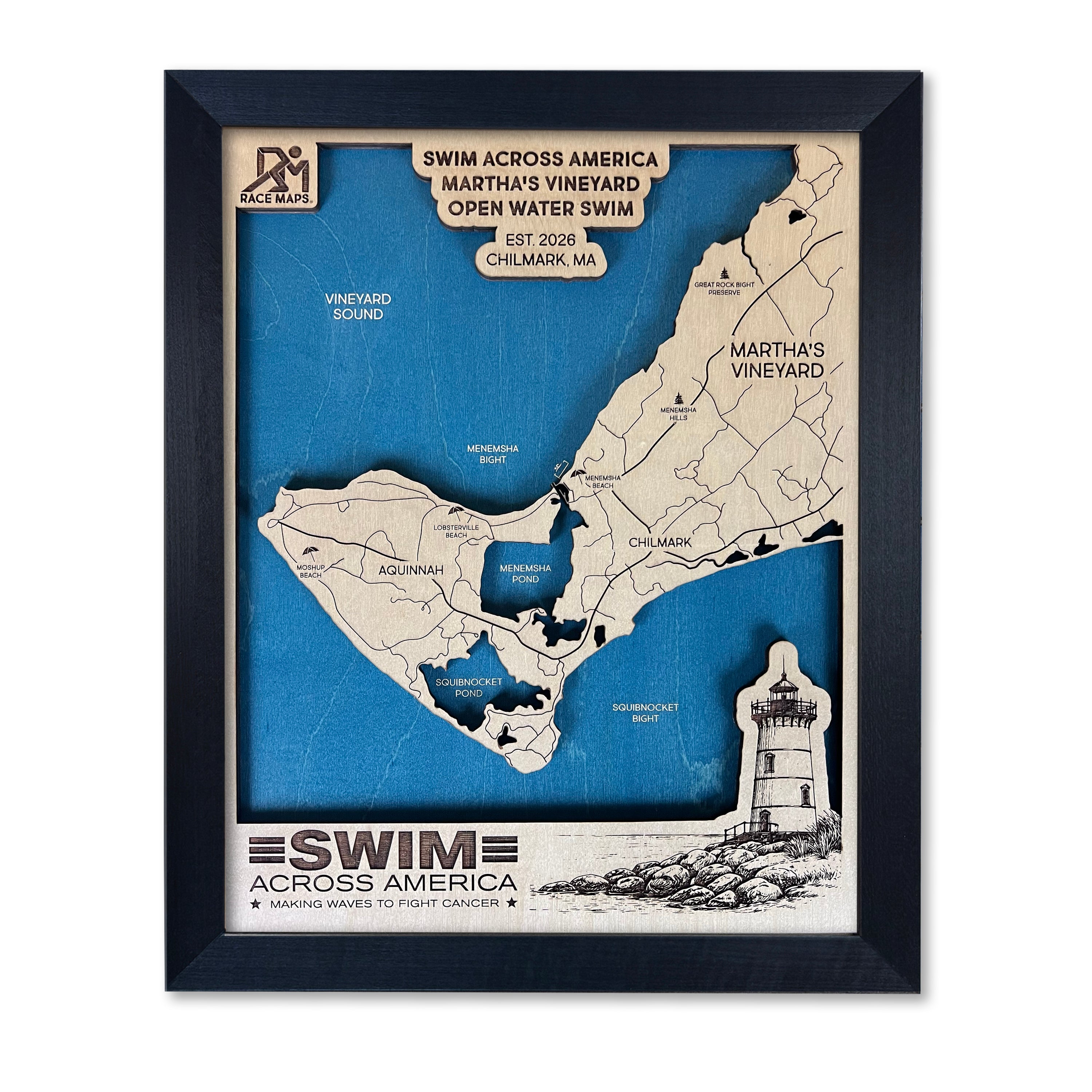 Swim Across America - Martha's Vineyard