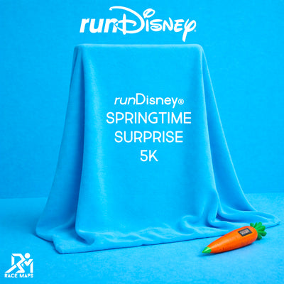 runDisney Springtime Surprise 5K