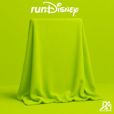 Any Walt Disney World® runDisney® Event